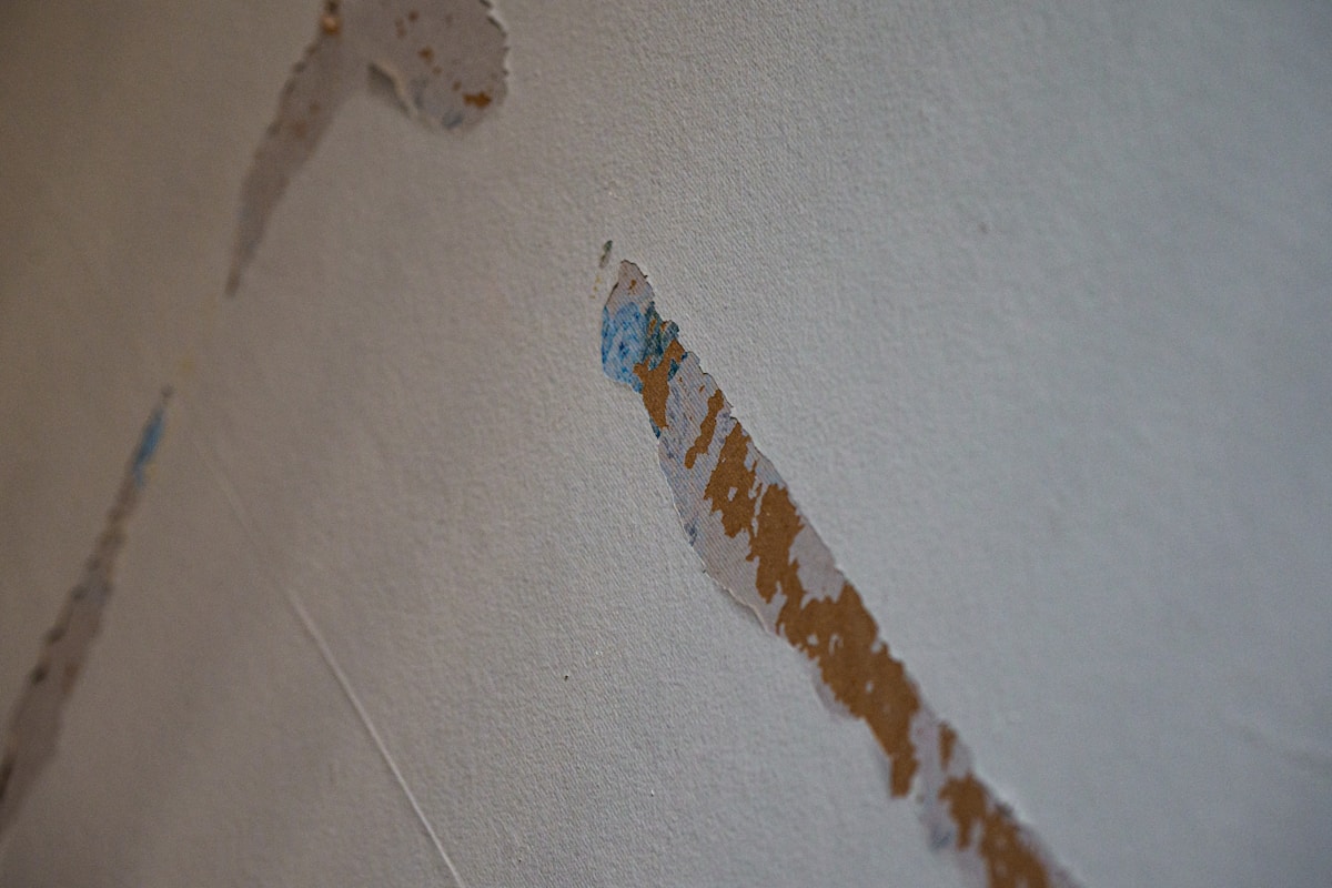 Mold Remediation service in Medford, MA